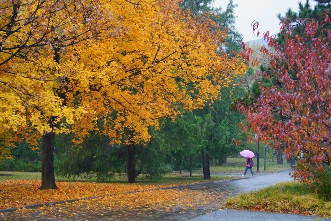 滑雪服被冻哭的年轻人焊身上了开元棋牌试玩300元一件的(图5)